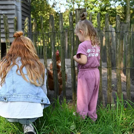 Dom wakacyjny Boksheidebuiten *