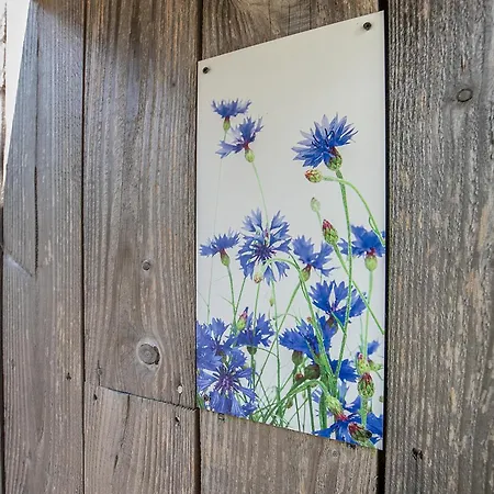 Boksheidebuiten Dom wakacyjny Eersel