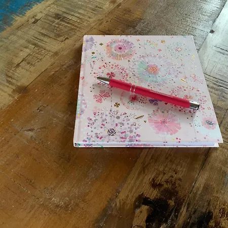 Boksheidebuiten 펜션 일서