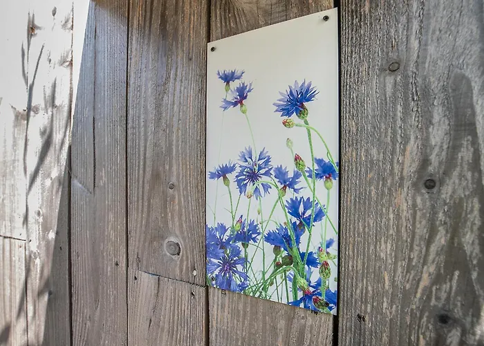 Boksheidebuiten Semesterbostad Eersel