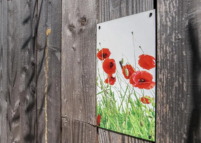 Semesterbostad Boksheidebuiten Eersel