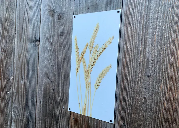 Boksheidebuiten إيرسل