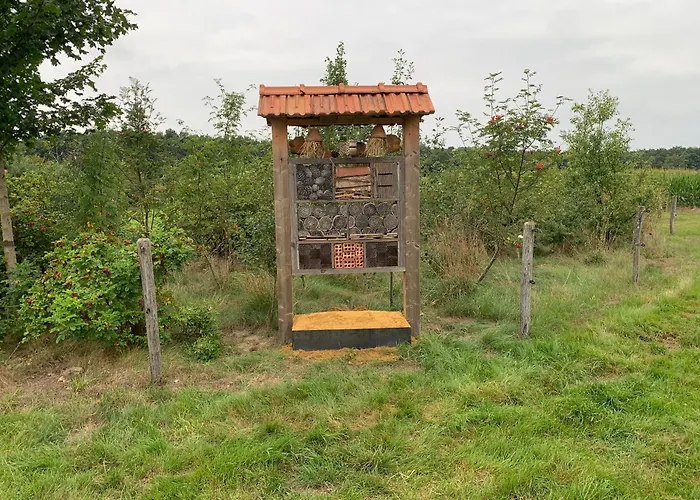 Boksheidebuiten * إيرسل